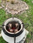 Шашлык на тандыре " Аладдин mini"