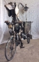 мангал Собака на велосипеде